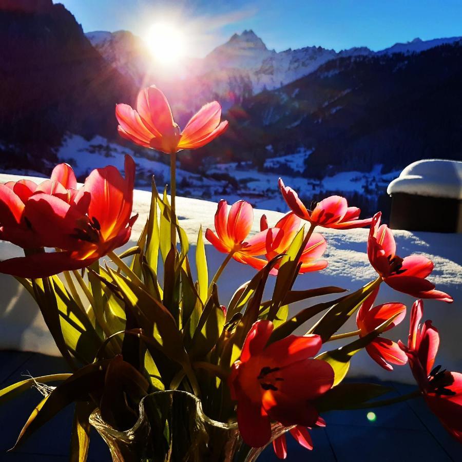 Alpenpension Maderer ガシュルン エクステリア 写真